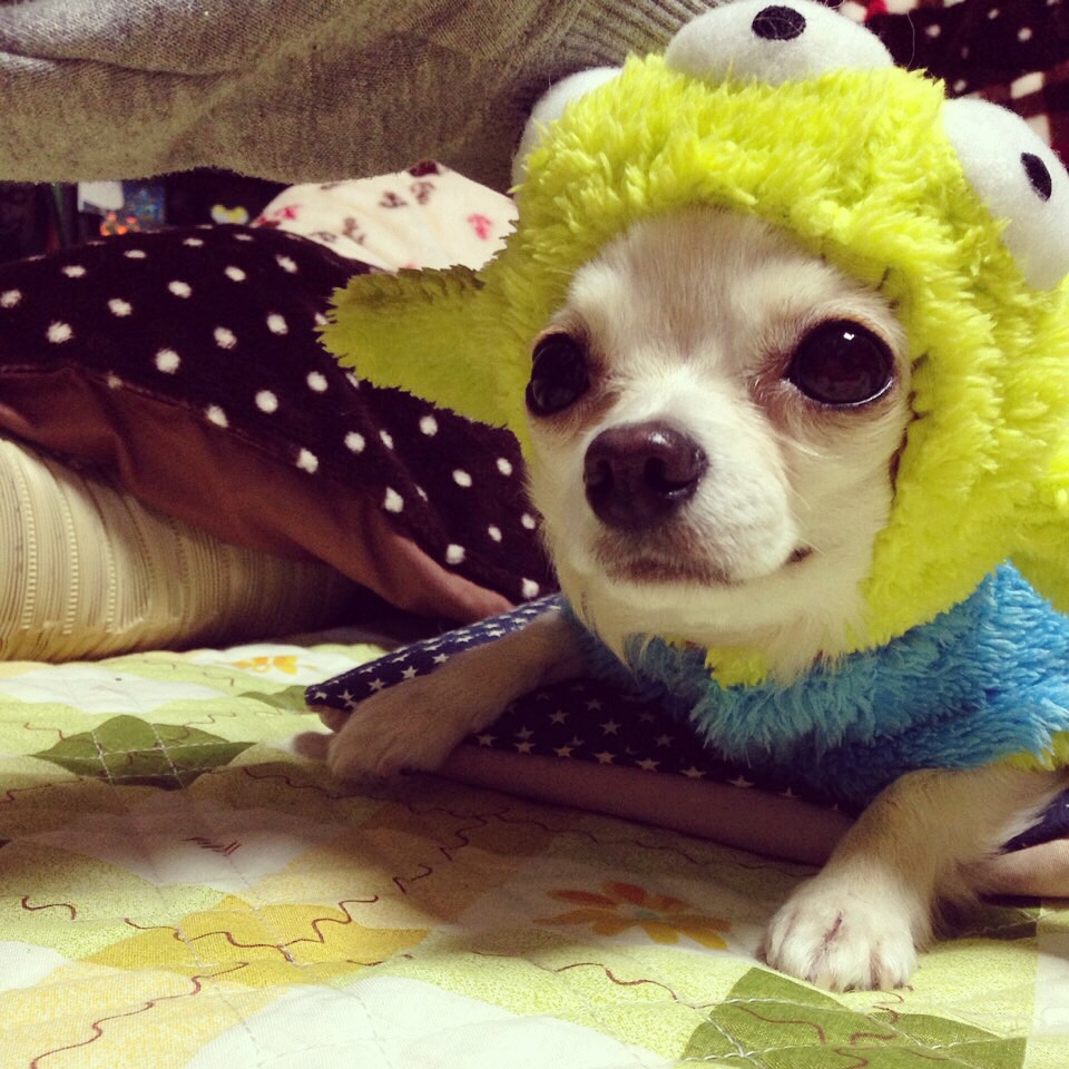 ���䌧���s�@�����ԁA,����,,�Љ�ی�